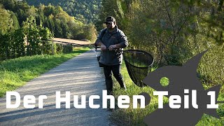 Der Huchen Teil 1  Fishingprofi Huchen angeln [upl. by Niveek702]