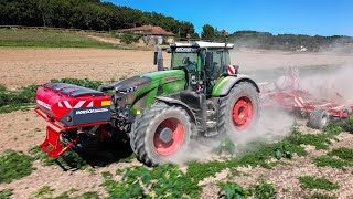 🌱FENDT 933 au SEMIS de COUVERTS💨 Horsch Joker 5HD  ManAGRI 117 [upl. by Harwill]