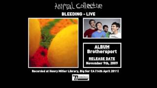 Animal Collective  Bleeding Live [upl. by Tahmosh]