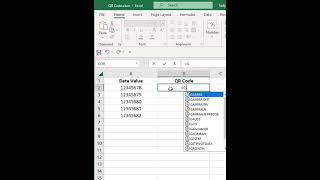 Excel VBA Create QR Code [upl. by Nibot713]