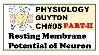 Chapter5PartII  Resting Membrane Potential  Guyton Physiology  Dr Asif Lectures [upl. by Joao788]