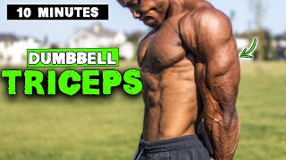 10 MINUTE LIGHTWEIGHT DUMBBELL TRICEP WORKOUT [upl. by Soren]