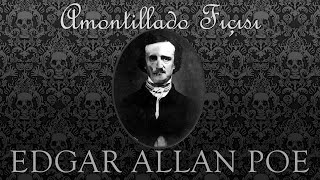 quotAmontillado Fıçısıquot Edgar Allan POE sesli öykü tek parça Akın ALTAN [upl. by Nnaasil]