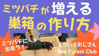 巣箱あげます！！日本ミツバチ巣箱の作り方と巣箱管理の仕方。ミツバチ増やそう！生物多様性回復活動 by ミツバチおじさん [upl. by Marks]