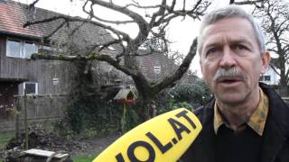 quotStunde der Wintervögelquot  Birdlife Vorarlberg Obmann im Interview [upl. by Nnyletak]