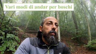 Vari modi di andar per boschi [upl. by Lidaa]