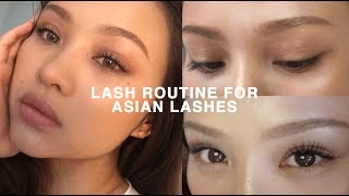 LASH ROUTINE FOR STRAIGHT ASIAN LASHES CURLED ALL DAY [upl. by Jp]