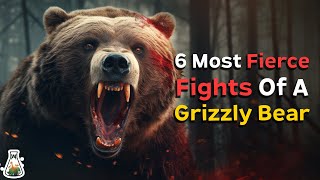 6 Most Fierce Fights of a Grizzly Bear [upl. by Mita]