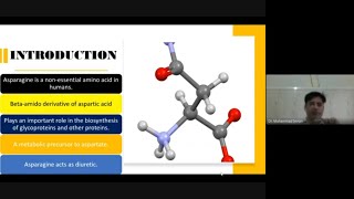 Asparagine and Aspartate Metabolism make it easy [upl. by Scharaga]