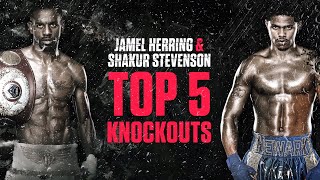 Jamel Herring and Shakur Stevensons Top 5 Knockouts [upl. by Alley]