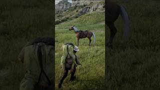 Horse Accident Turns into Standoff 🤠🐴 RDR2 StandOff WildWest reddeadredemtion2 [upl. by Adoc324]