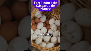 Fertilizante de Cáscaras de Huevo Naturaleza en tu Jardín [upl. by Savory]