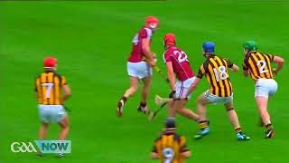 KING HENRY SHEFFLIN CANT OUTSHINE THE KING OF KINGS JOE CANNING  KILKENNY V GALWAY 2014 LEINSTER [upl. by Launam]