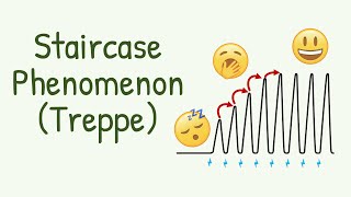 How the Muscles SLOWLY WAKE UP from quotSleepquot  Staircase Phenomenon or Treppe in Muscle Contraction [upl. by Ottinger432]