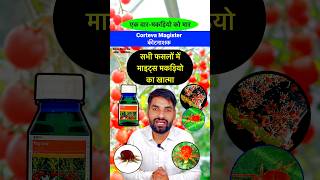 Corteva Magistar मकड़ी नाशक दवा  Miticide  Acaricide  Mites control insecticide shorts farming [upl. by Okihcas]