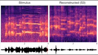 Sound reconstruction from human brain activity Park et al 2023 S1 [upl. by Maryly82]