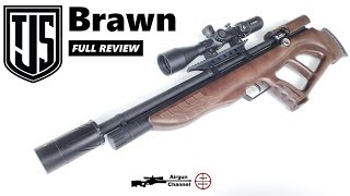 JTS Brawn Review Bullpup PCP Rifle Top Accuracy at 499 [upl. by Donielle544]