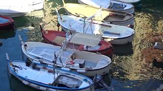 camogli barche nel porticciolo [upl. by Lulita805]