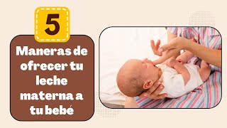 5 MANERAS DE OFRECER TU LECHE MATERNA A TU BEBÉ EN TU AUSENCIA [upl. by Acherman]