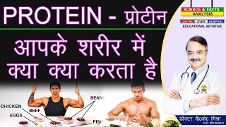 प्रोटीन आपके शरीर में क्या क्या करता है  WHAT PROTEIN DOES FOR YOUR BODY [upl. by Breanne662]