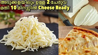 വെറും 2 ചേരുവയിൽ 10 മിനുറ്റിൽ Pizza ക്കുള്ള Mozzarella Cheese How to make Mozzarella cheese at home [upl. by Notlew]