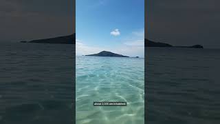 Ever dreamed of an island paradise shorts philippines funfacts islands [upl. by Alaster]