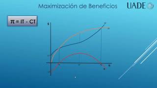 Maximización de Beneficios [upl. by Kent]