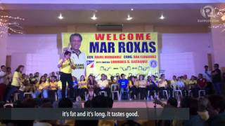 Dan Fernandez compares Mar Roxas rivals to fruits [upl. by Anrat]