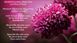 Lamb Of God  Matt Maher  Instrumental with lyrics [upl. by Ona]