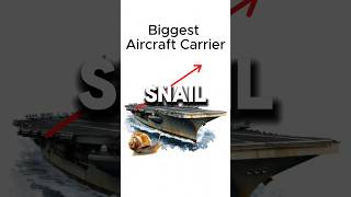 Snail 🐌 vs Fighter Jet ✈️—The Shocking Winner 🤯🚀 [upl. by Novej]