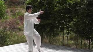 Tai Chi Chuan Taijiquan  traditioneller Yang Stil  103er Langform 1 Teil [upl. by Aelaza834]