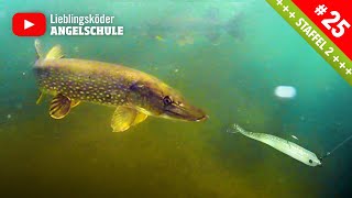 Köderführung zum Hechtangeln im Mai amp Juni 🎣🔥🐟 [upl. by Federico]