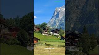 Grindelwald Alp Switzerland travel 6 alps mountains tourofthealps tour reisen travel shorts [upl. by Nicky]