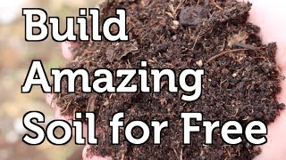 Build Amazing Fertile Garden Soil Using Free and Local Resources in your Mulch or Compost [upl. by Yrem]