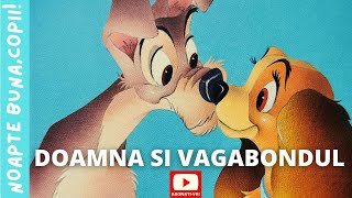 🐶 DOAMNA SI VAGABONDUL 🐶 [upl. by Norabel160]