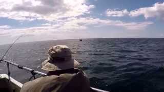 Skerries Bank Dartmouth Plaice Fishing [upl. by Guidotti]