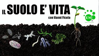 Em  microrganismi effettivi L agricoltura incentrata sulla vita [upl. by Ahsier636]