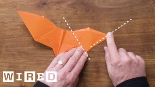 How to Fold Five Incredible Paper Airplanes  WIRED [upl. by Enelyk584]