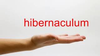 How to Pronounce hibernaculum  American English [upl. by Suivat254]