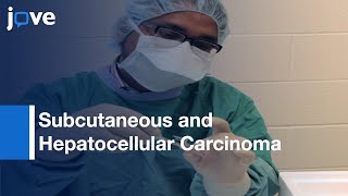 Subcutaneous and Hepatocellular Carcinoma Xenografts  Protocol Preview [upl. by Hepza68]