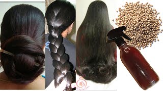 How To Use Coriander Seeds For Extreme Hair fall  Treat Baldness  Indian Secret for Hair Growth [upl. by Ahsiekat]