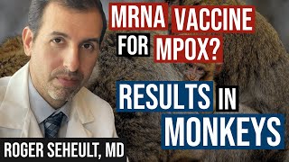 Mpox New mRNA Vaccine Versus Traditional Live Virus in Animal Series [upl. by Solita720]