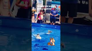 Twiggy The Water Skiing Squirrel  Fort worth MayFest 2024  DFW Events  Texas adventures [upl. by Runkle]