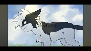 Swiftpaw and Brightpaw edit warriorcats fypシ゚ brightheart swiftpaw [upl. by Ariam]