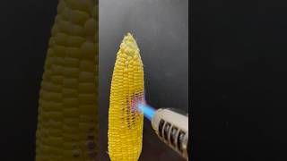 Powerful Lighter vs Corn [upl. by Yrkcaz]