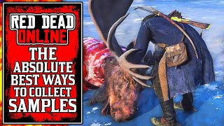 The BEST WAYS To Collect Samples amp Rank Up Fast New Red Dead Online Naturalist Update Tips RDR2 [upl. by Trout]