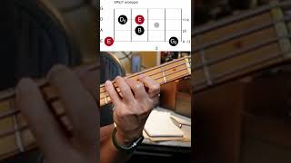 You NEED To Know This Music Theory For Bass [upl. by Crespo834]