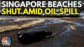 Singapore Oil Spill Beaches on Singapores Sentosa Island Closed After Oil Spill  N18G [upl. by Nachison]