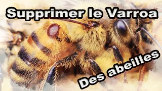 Comment supprimer le varroa de ses ruches  Apiculture apilife var [upl. by Tatum655]