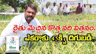 ఎకరాకు 45క్వి హైబ్రిడ్ వరి  Mehar Hybrid Paddy Cultivation  Best Paddy Seeds  Shiva Agri Clinic [upl. by Theda513]